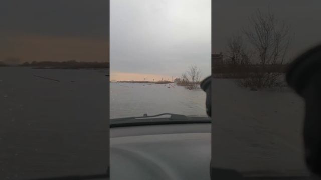 Разлив Оки в Рязанской области смотреть онлайн