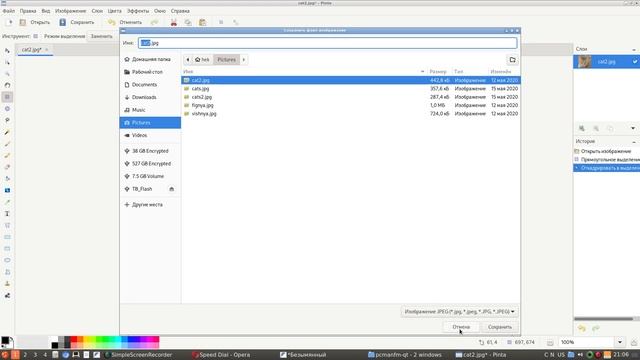 Pinta - фотошоп на минималках для linux смотреть онлайн