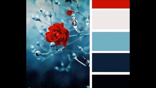 ПАЛИТРА ЦВЕТОВ COLOR PALETTE смотреть онлайн