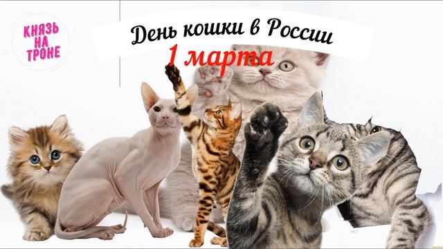 какой сегодня праздник? \ 1 марта \ праздник каждый день \ праздник к нам приходит \ есть повод смотреть онлайн
