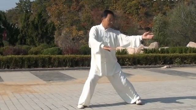 Чэнь Чжэньшэн демонстрирует Хунчуань Илу, с именованием форм