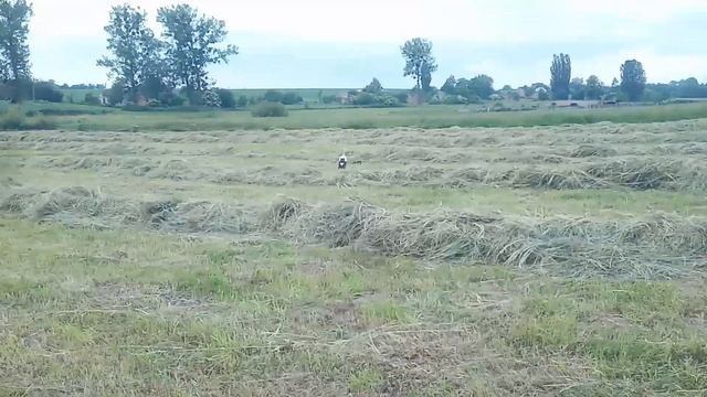Гребка Сонечко. Ворушіння, згрібання, тюкування сіна трактор т 25 смотреть онлайн