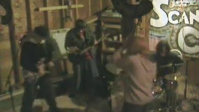 Funky Bee смотреть онлайн