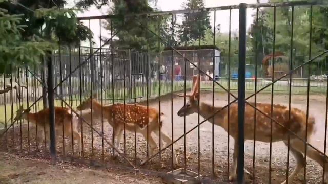 Центр живой природы