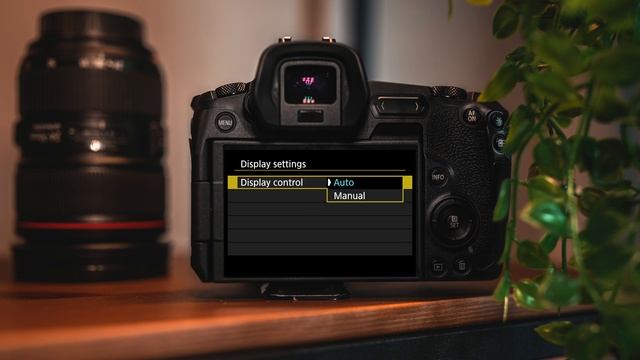 Recommended Canon EOS R Settings: My Favorite Setup смотреть онлайн