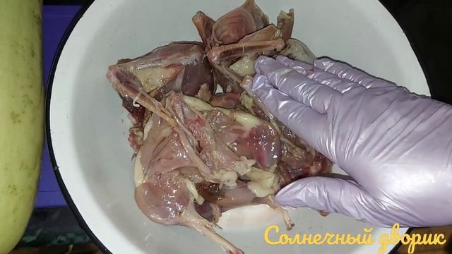 Готовим дичь. Избавляемся от запаха дичи. Курица не птица. Лысуха не утка. Водяная курочка - Лысух смотреть онлайн