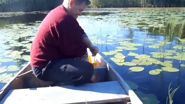 Ловля щук на крюки 2013. (2 серия). смотреть онлайн