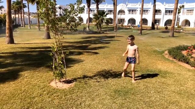 Челлендж Найди и Угадай | Игры для детей на улице | Территория отеля Albatros Palace Sharm 5* смотреть онлайн