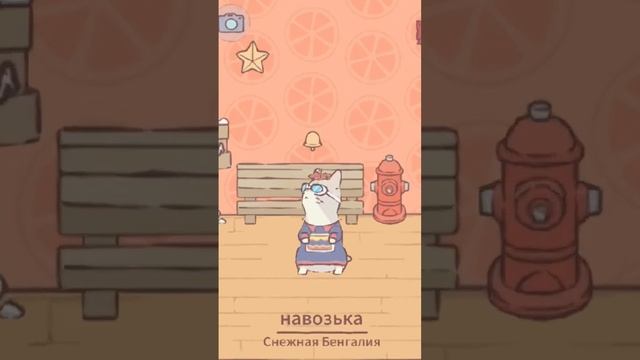 резкие переходы. Все мои котики в кошки и суп#capcut #cats&soup