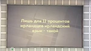 Своя игра. Монвиж-Монтвид - Козелов - Мереминский (14.06.2014)