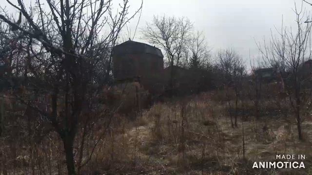 #Дача и ее история. Новые Дачные Хроники. Эпизод 2. Первые посадки. смотреть онлайн