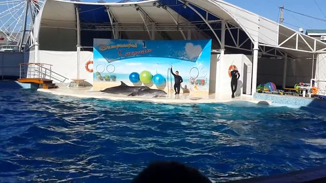 Дельфинарий Коктебель, Крым 2016 #2 смотреть онлайн