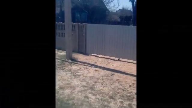 Как сделать железные ворота и калитку для дома и дачи красиво дешево и быстро ! смотреть онлайн