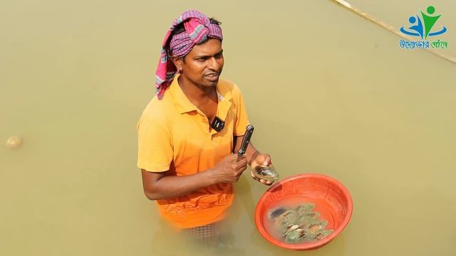 পুকুরে মুক্তা চাষ পদ্ধতি (Pearl Farming) | বিনামুল্যে মুক্তা চাষ প্রশিক্ষণ | উদ্যোক্তার খোঁজে смотреть онлайн