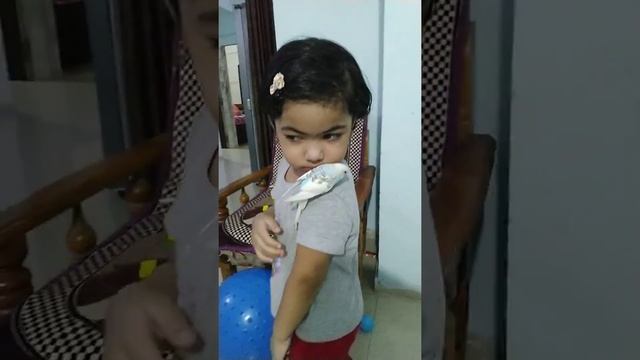 My Pet | Budgie playing | R for Rabbit scooter | budgie with baby | toddler pet videos | toddler pe смотреть онлайн