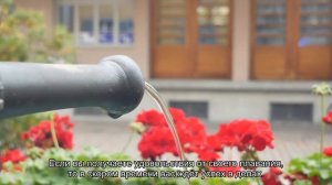 К чему снится плыть в воде? Толкование сна и его значение по сонникам Хассе и Ванги