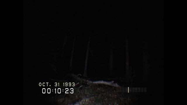 DON'T SCREAM НЕ КРИЧИ НЕЛЬЗЯ КРИЧАТЬ В МИКРОФОН А ТО СОСКУФИШЬСЯ ! смотреть онлайн