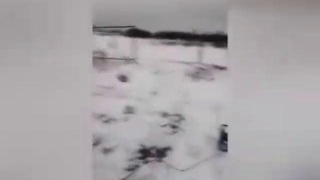 Монтаж 16 винтовых свай под баню в Шекснинском районе