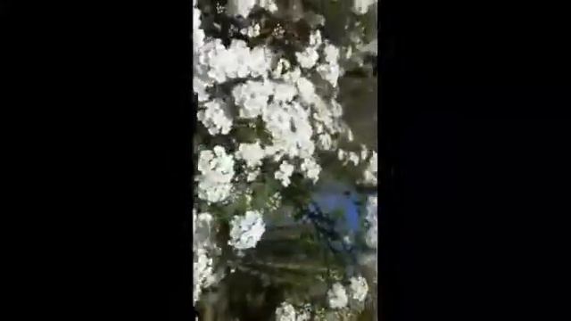 Влог гуляю с подругой смотреть онлайн