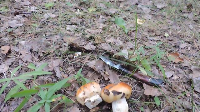 Сделай Сам для Духовного Роста