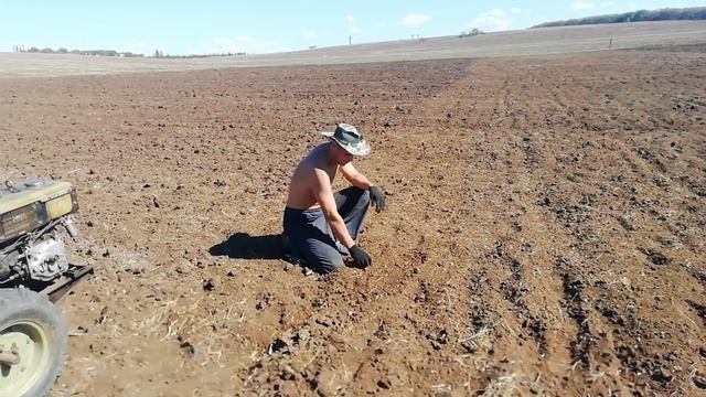 Зелёный дракон на поле или фрезеровка земли под чеснок. смотреть онлайн