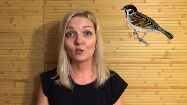 Наталья Климова, воспитатель ЧОУ "Хорошевская школа". Воробушек смотреть онлайн