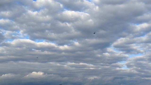 Авиа-шоу и приземление парашютистов. День города Барнаула смотреть онлайн