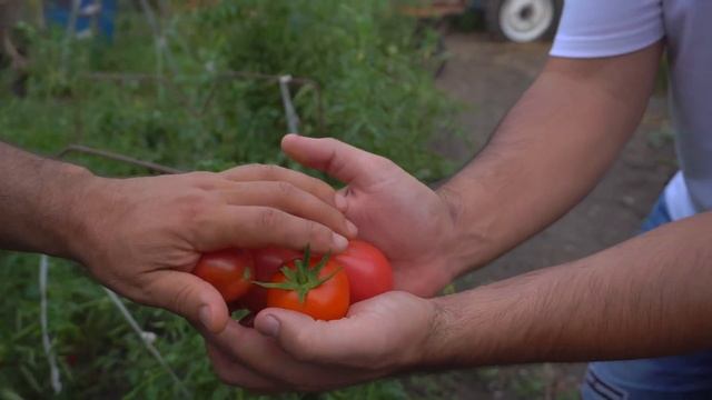 БАРАН в ТАНДЫРЕ с ОВОЩАМИ ? смотреть онлайн