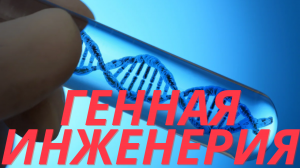 Генетическая инженерия, ее задачи, возможности, методы, достижения, перспективы. Экзамен Биология