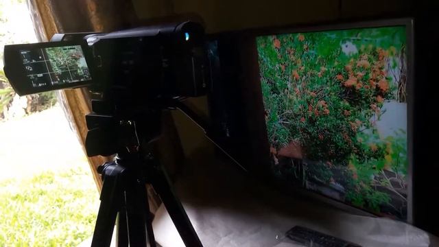SONY FDR AX100 4K Recording wt SAMSUNG 32" Smart TV as Monitor смотреть онлайн
