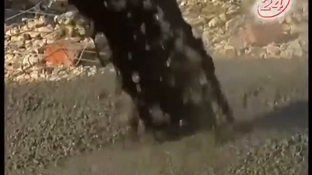 Ремонт пр. Яшьлек в рекордные сроки смотреть онлайн