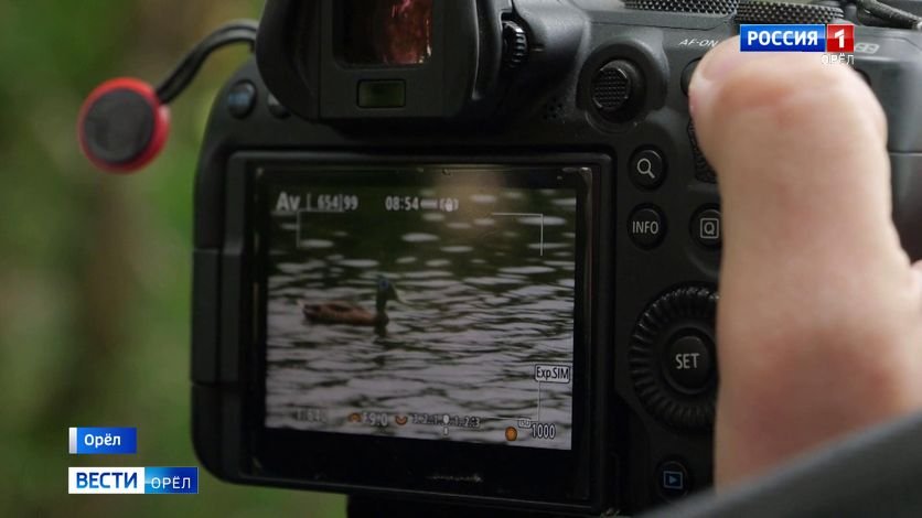 Орловцы, увлекающиеся фотографией, принимают поздравления с праздником смотреть онлайн