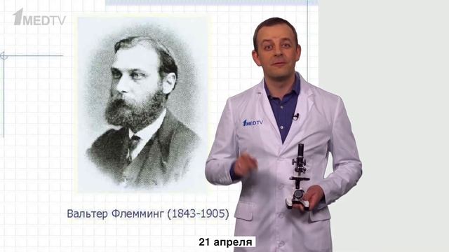 21 Апреля | Вальтер Флеминг | Медицинский календарь смотреть онлайн