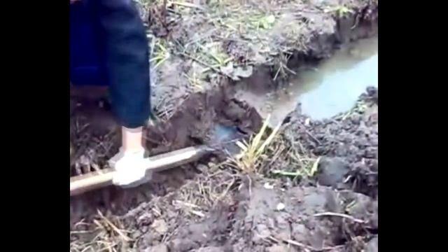Осушение Земли от высоких грунтовых ВОД! смотреть онлайн