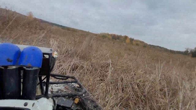 Осенние заплывы ?♂️ на Kawasaki Brute force 750. смотреть онлайн