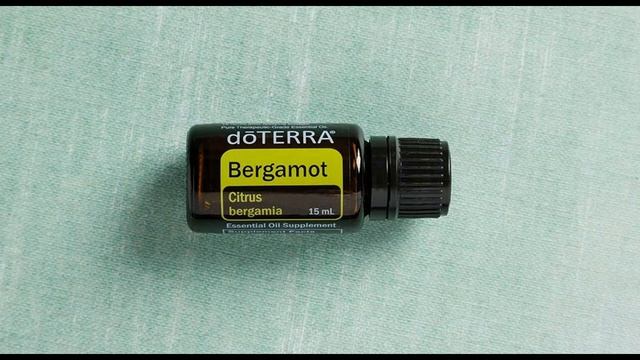 Бергамот смотреть онлайн