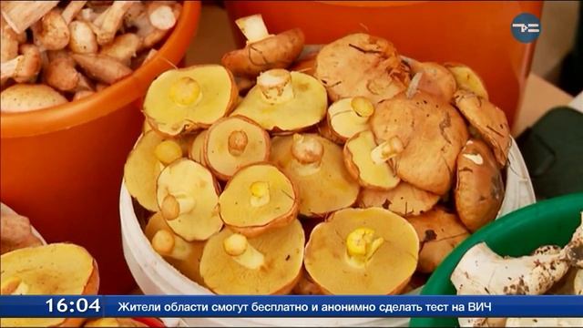Отравления грибами смотреть онлайн