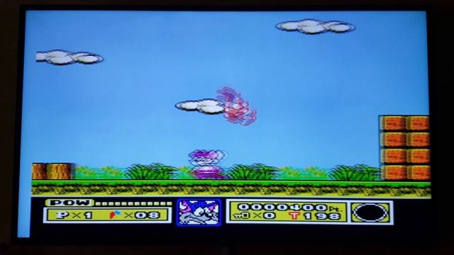 Tiny Toon Adventures Pandoras Box 3D Arcade Gameplay 2350 Loaded Games Multi смотреть онлайн