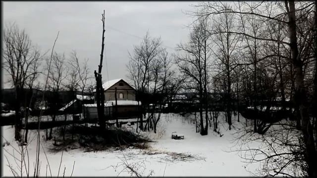 Обрезка тополей на дачном массиве. Спил деревьев. Тольятти, Самара, Жигулевск, Самарская область. смотреть онлайн