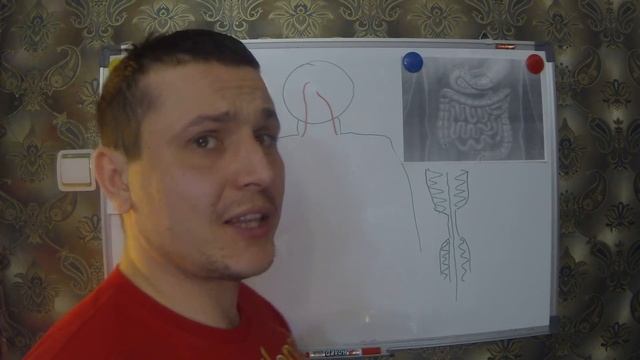 Этот «жгут» вывалится из вас и будет напоминать глиста... Шлангопопинг 2 часть