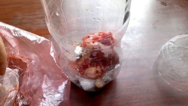 Разведение опарыша в домашних условиях Видео как уменьшить запах и количество мух смотреть онлайн