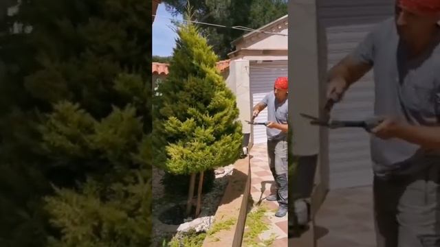 Topiar, poda de arboles (стрижка кустов) смотреть онлайн