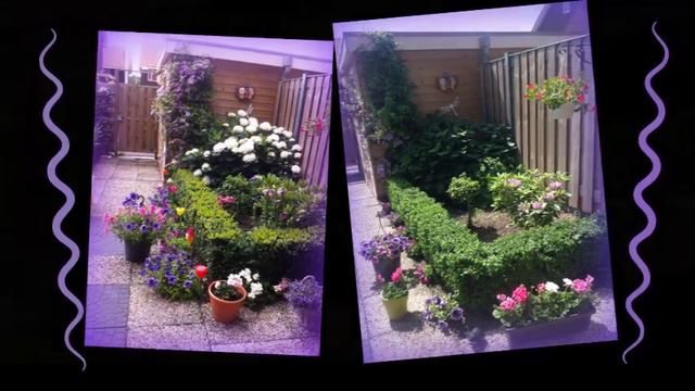COMO CUIDAR UN JARDIN! смотреть онлайн