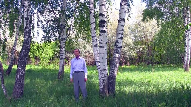 Анатолий Пережогин "ТИШИНА И ПОКОЙ"- босса-нова в авторском исполнении смотреть онлайн