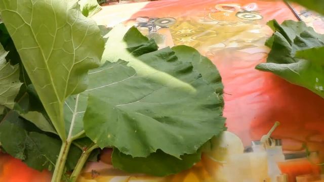 ВЛОГ. Рагу для свекрови/Семейный день творчества/ВСЕ УЕХАЛИ. смотреть онлайн