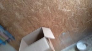 Смеющийся горлицы//смеются как люди