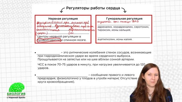 Кровеносная система ЕГЭ | Пробная неделя мастер-группы с Мариной Брейн смотреть онлайн