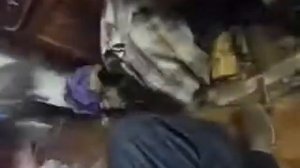 Polaris. USA. Ремонт машинки для стрижки.