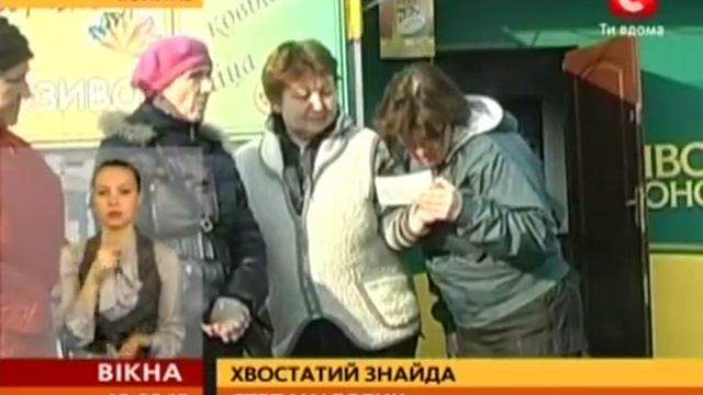 Пес 5 лет ждал хозяина на остановке и дождался! смотреть онлайн