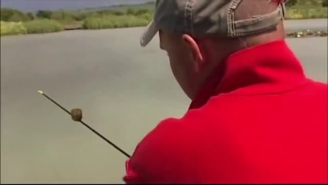 Ловле линя с берега на поплавочную снасть. смотреть онлайн